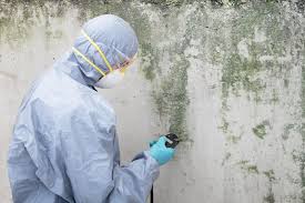 Professional Mold Remediation in University Of Pittsburgh Johnstown, PA